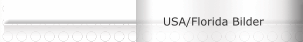 USA/Florida Bilder